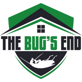 The Bugs End
